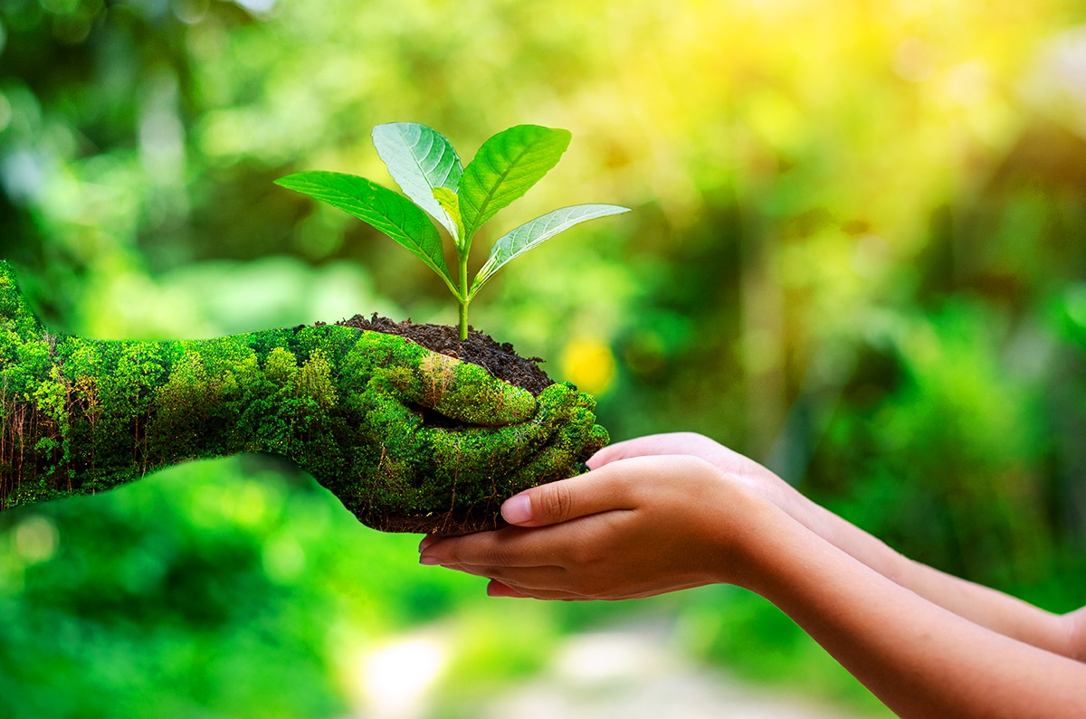 Saving the Planet: Why Embracing Sustainability is Vital for Our Future.